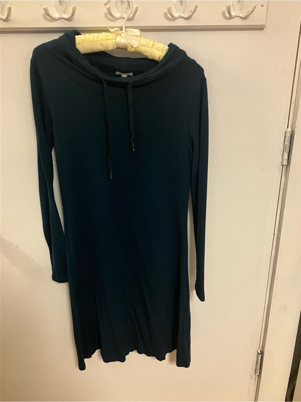 Talbots Long Sleeve Hooded Dress in Deep Teal
